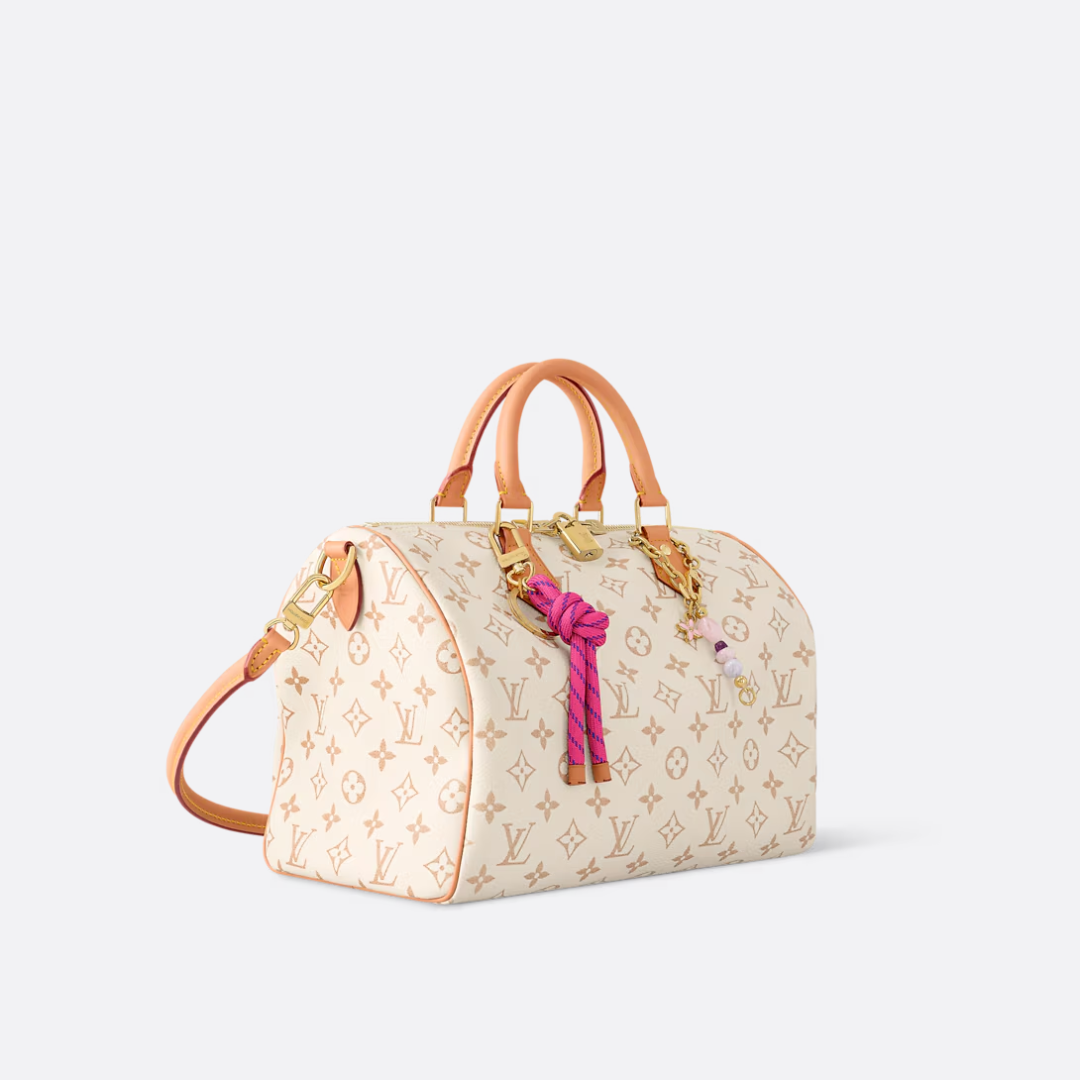 LV Medium-sized Handbag