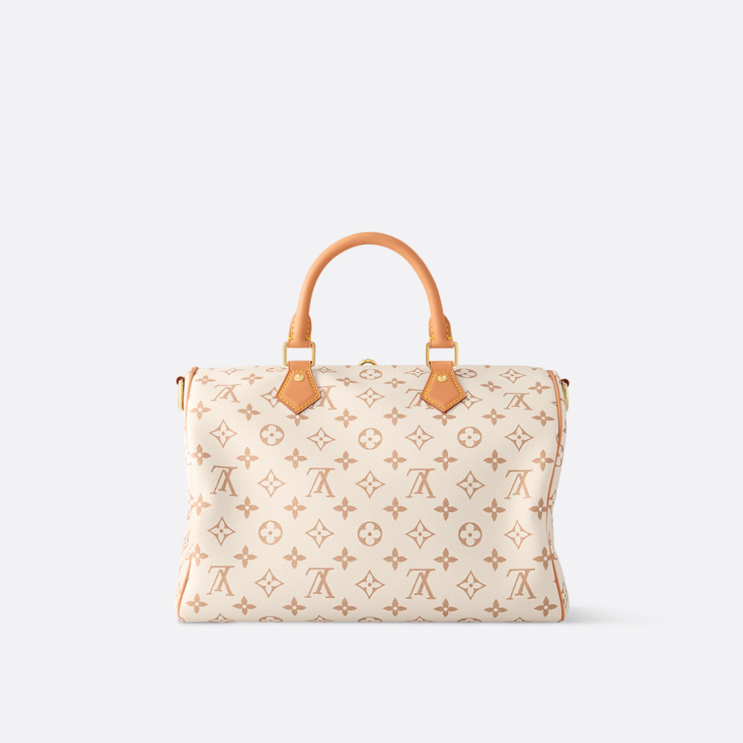 LV Medium-sized Handbag