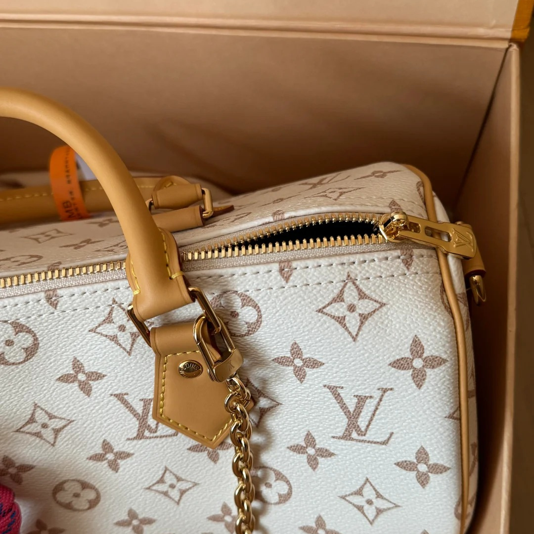 LV Medium-sized Handbag