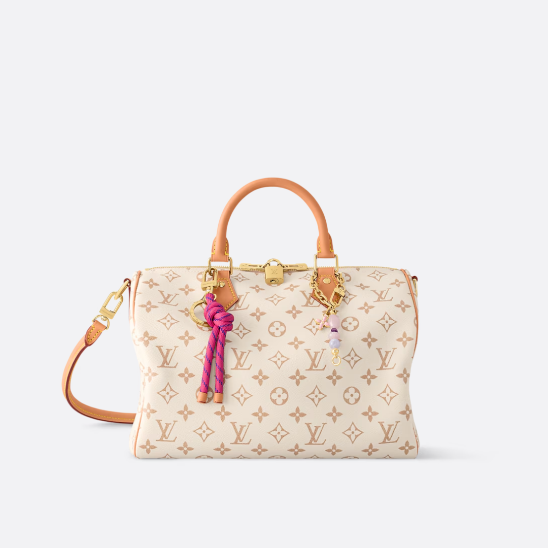 LV Medium-sized Handbag