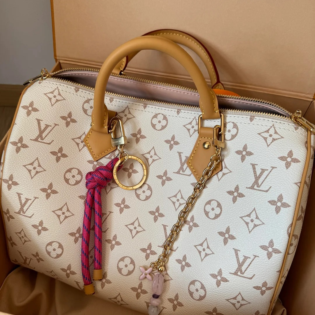 LV Medium-sized Handbag
