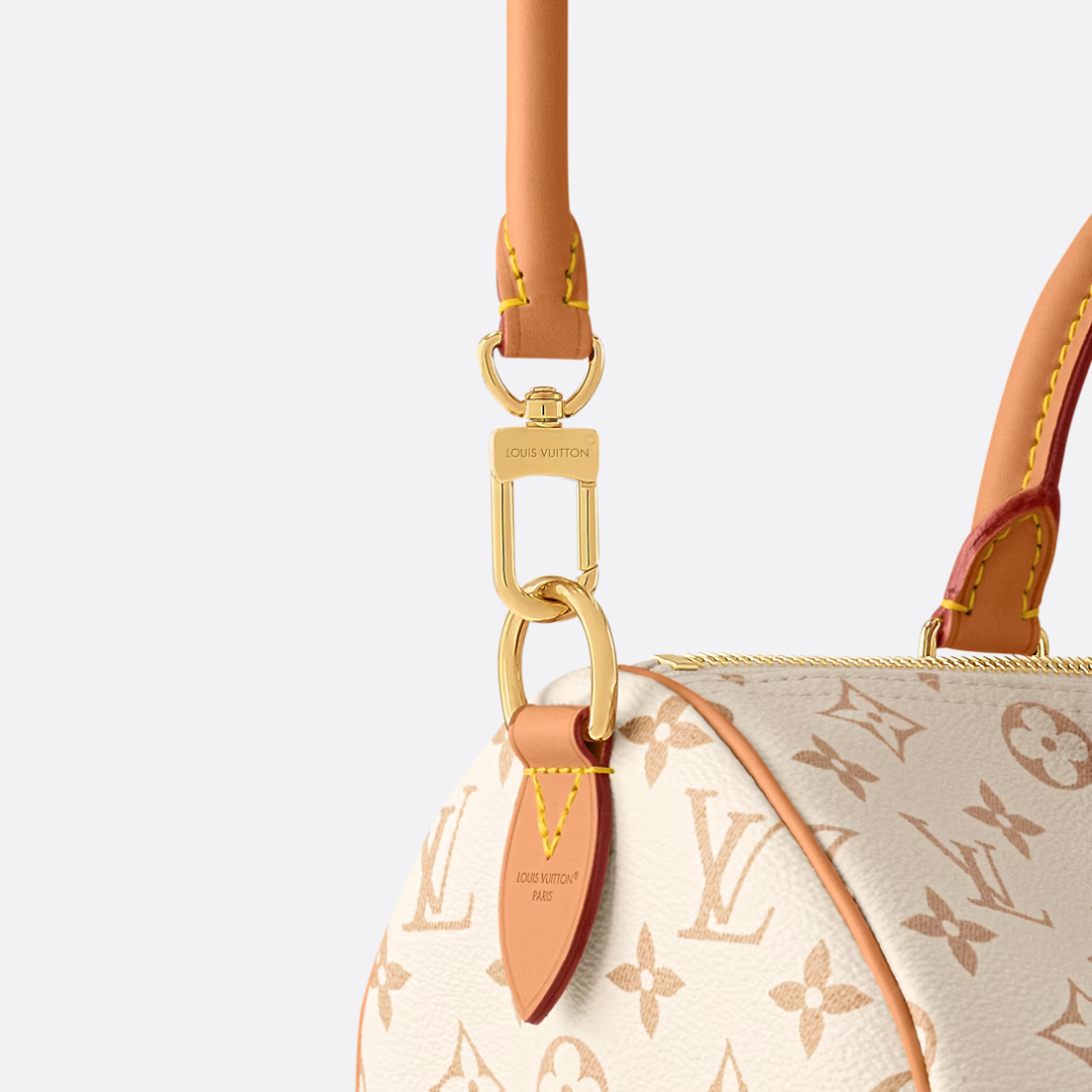 LV Medium-sized Handbag
