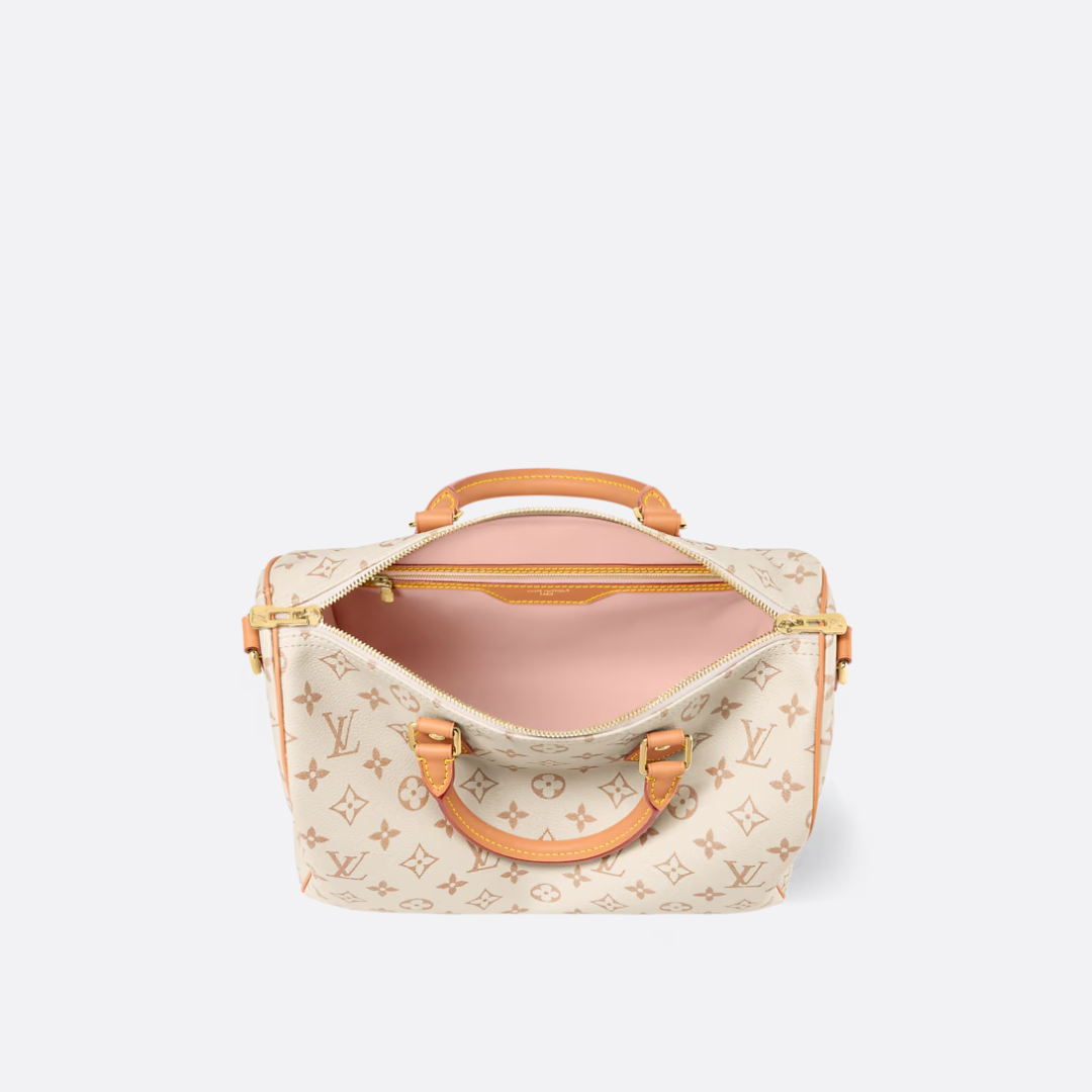LV Medium-sized Handbag