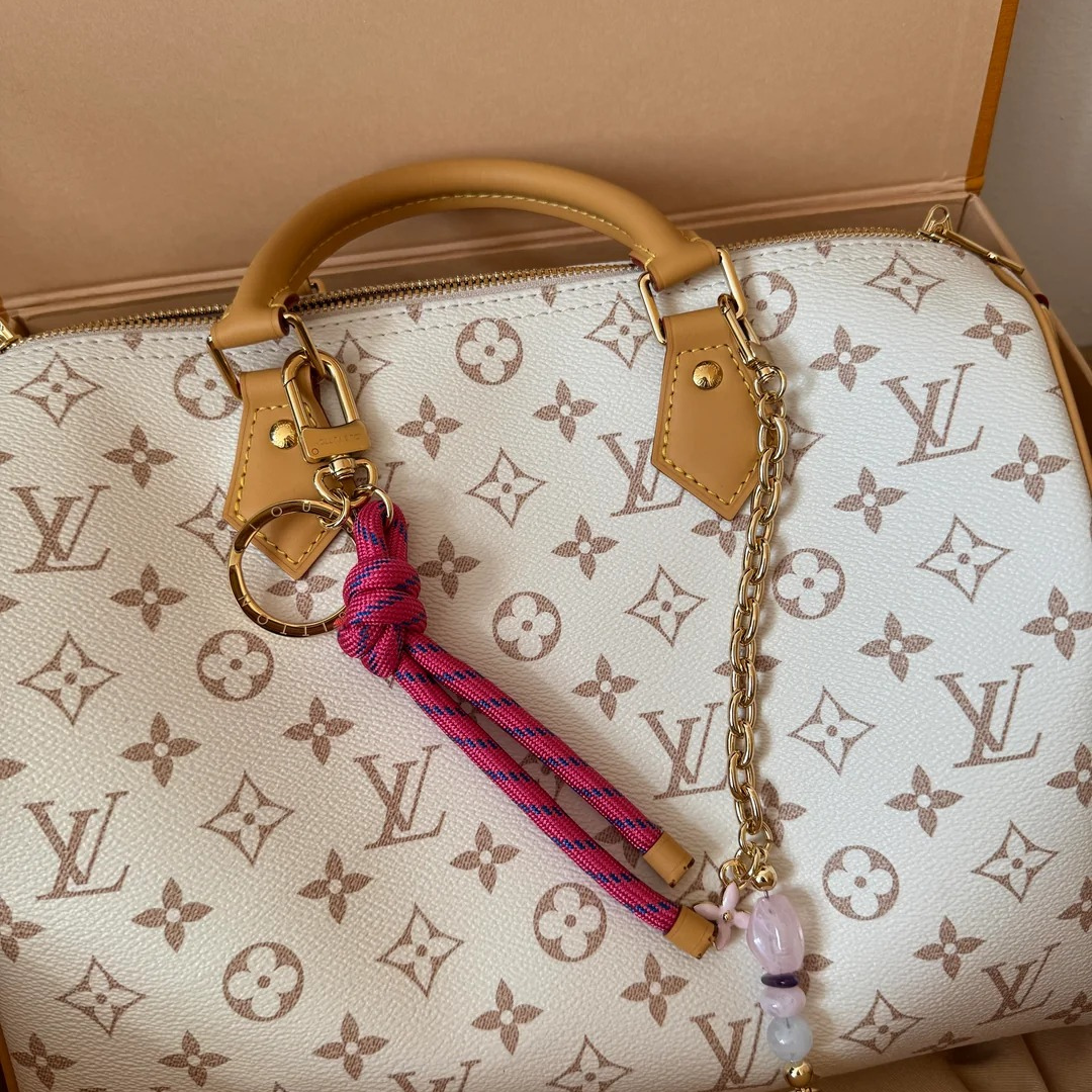 LV Medium-sized Handbag