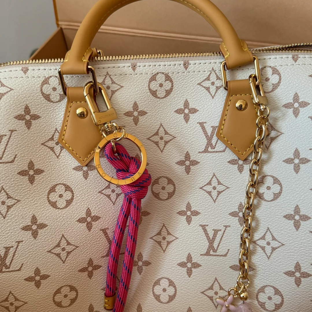 LV Medium-sized Handbag