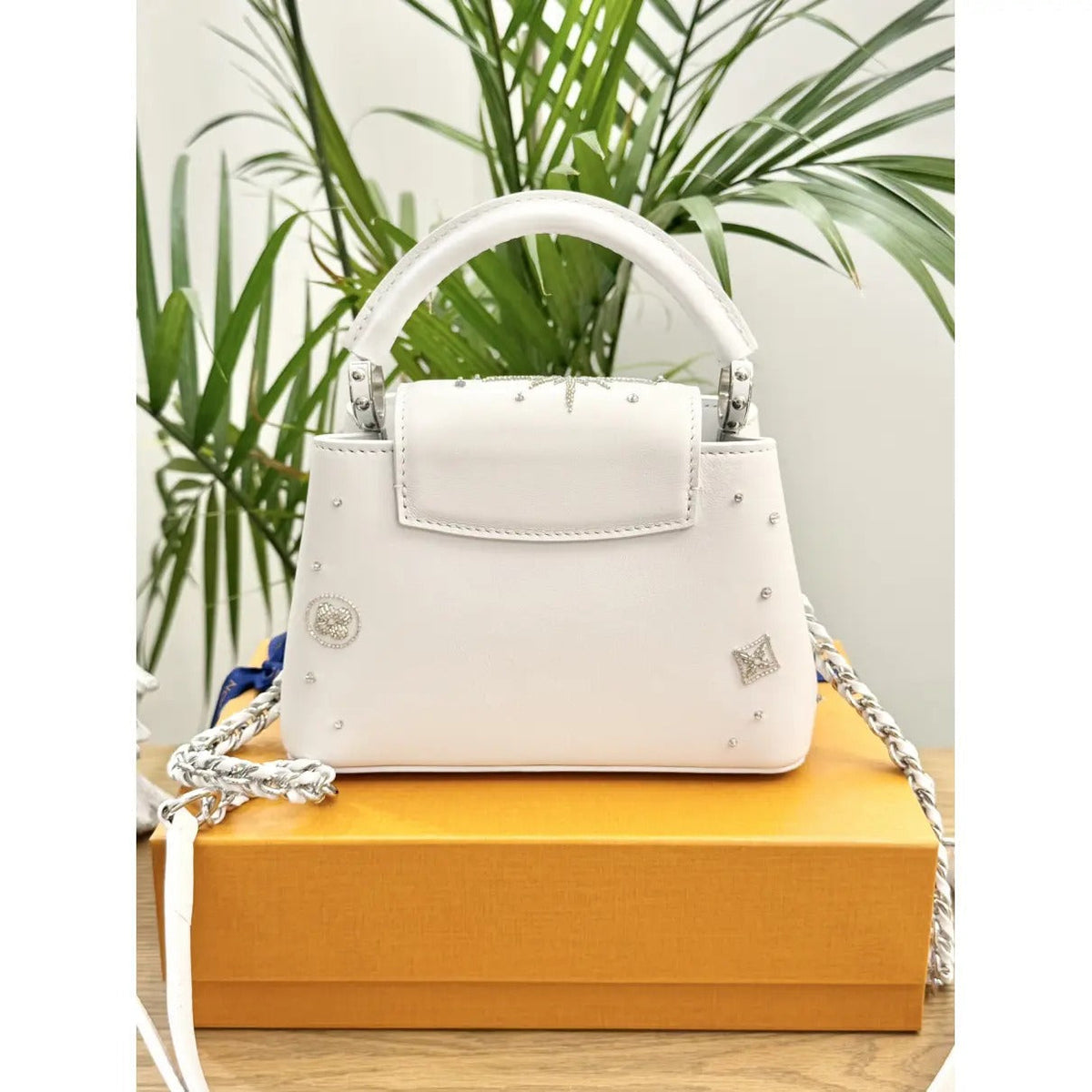 LV Capucines Mini Bag